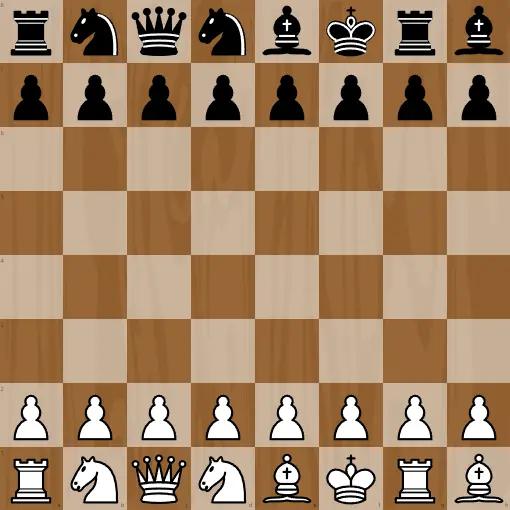 Fischer-Schach online